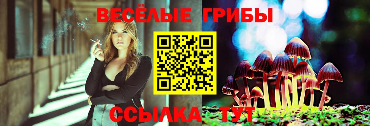 Псилоцибиновые грибы ЛСД Борзя