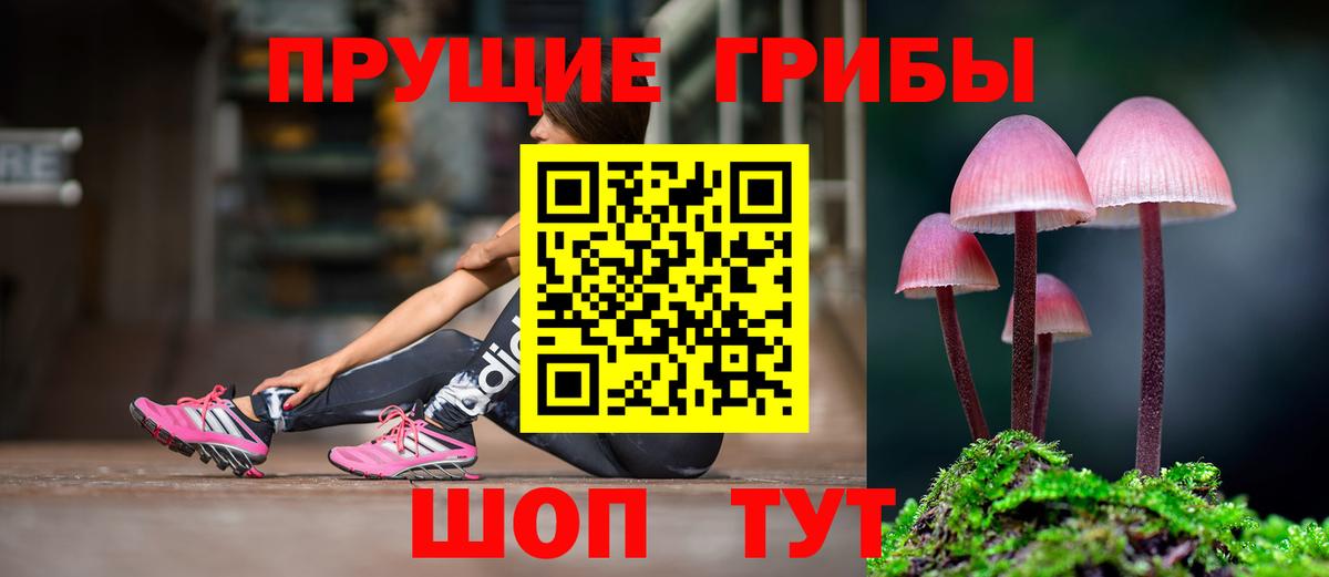 Борзя  Галлюциногенные грибы Cubensis  Вход с VPN 